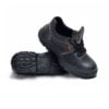 Safety Shoe Tiger
